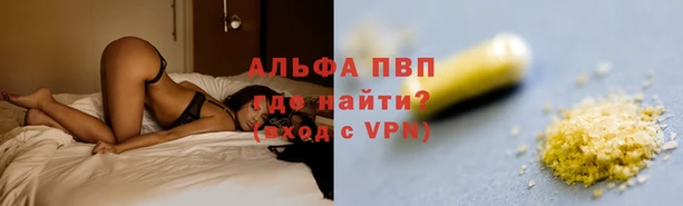 индика Абдулино