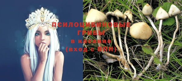 мдпв Абинск