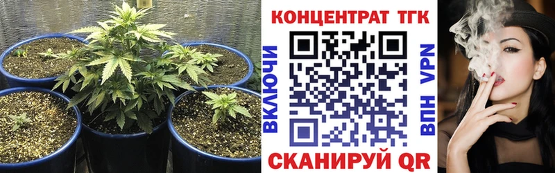 ТГК концентрат  Людиново 