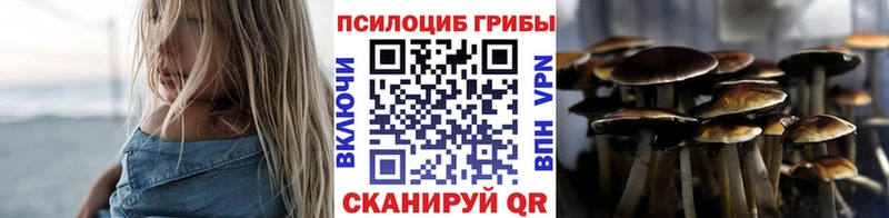 Галлюциногенные грибы Psilocybine cubensis  купить наркотик  Людиново 