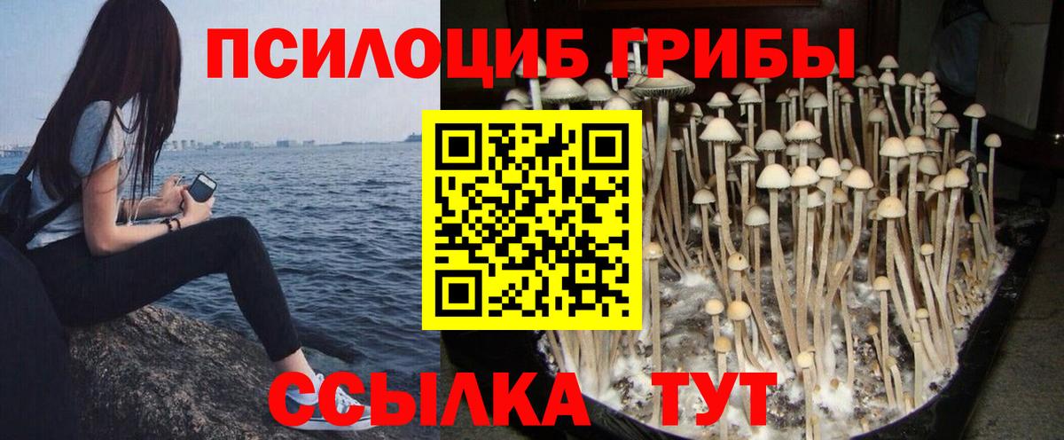 Псилоцибиновые грибы MAGIC MUSHROOMS Людиново